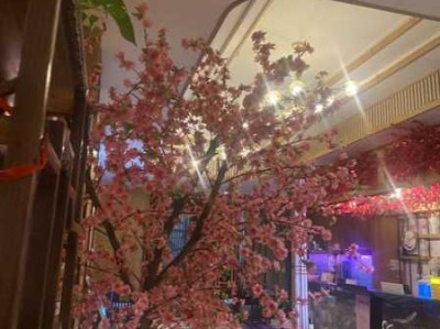 上个月去了上海浦东区同城洗浴,按完很轻松很舒服，推荐推荐
