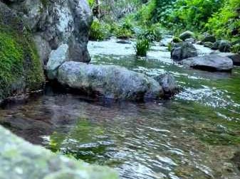 上个月去了上海杨浦区附近油压,环境很安静，特别的放松