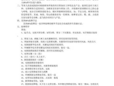 SPA流程
