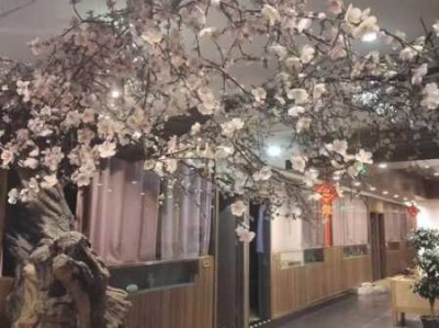 上个月去了上海杨浦区同城油压,环境也很干净技师人也很好