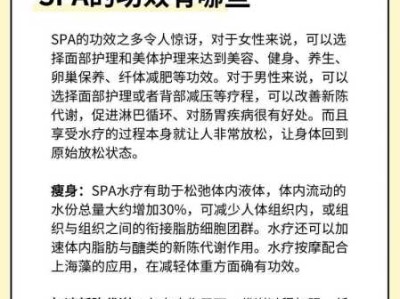 什么是spa简述
