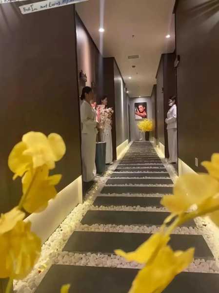 什么是spa简述