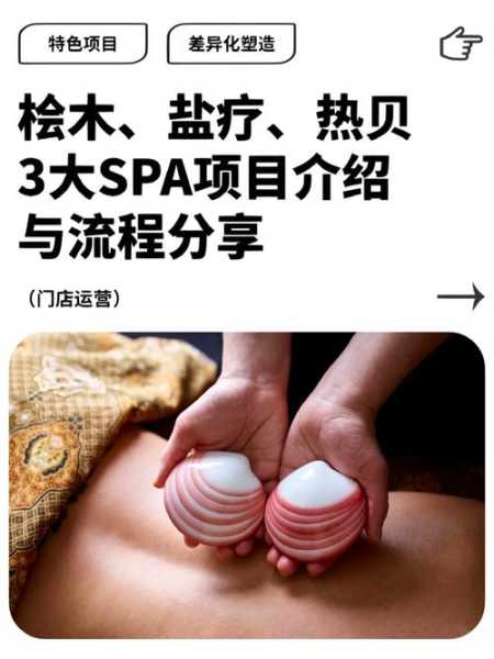 spa是啥项目