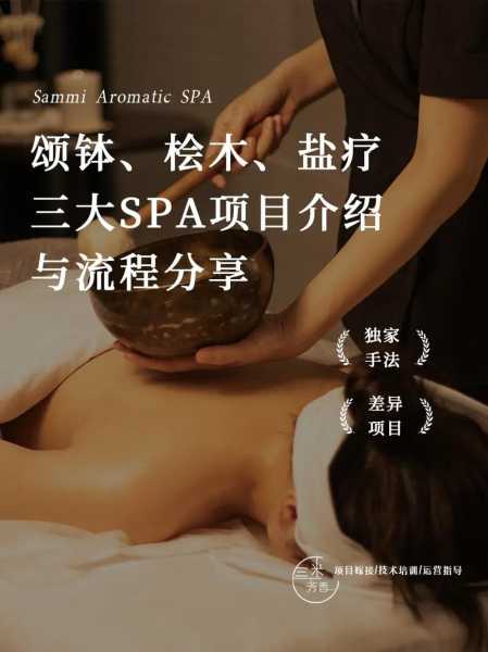 spa是啥项目
