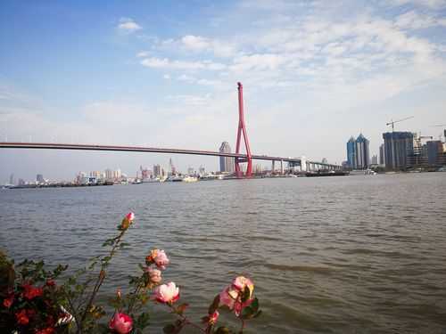 上个月去了上海杨浦区周边洗脚,很好交流,十分放松