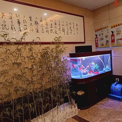 上个月去了广州附近油压,技师操作很不错，比较到位