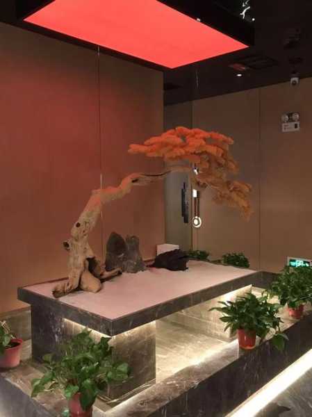 上个月去了广州高端足道,环境也很干净技师人也很好