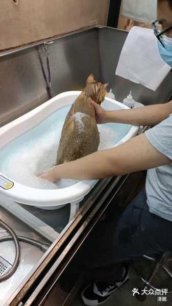 上个月去了上海杨浦区附近沐浴,力度合适,很舒服