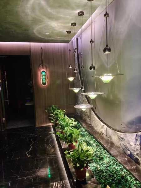 上个月去了上海浦东区周边水疗,技师服务很好,手法很好