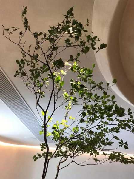 上个月去了上海青浦区高端spa,很好交流，十分放松