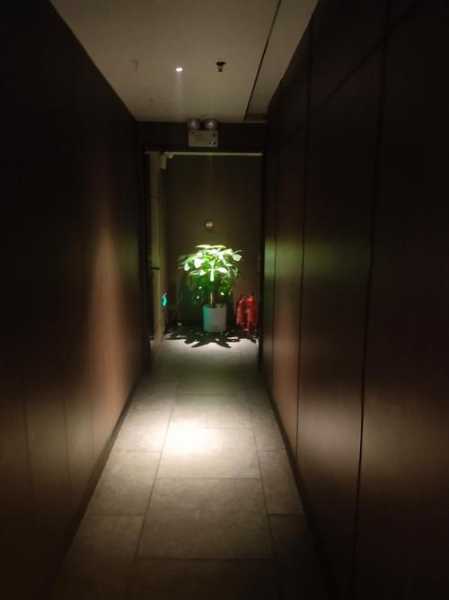 上个月去了上海杨浦区附近足道,按的很不错，下次还会来