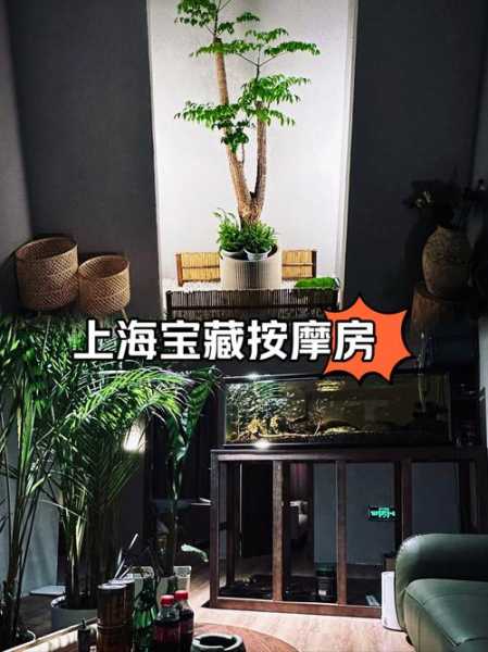 上个月去了上海青浦区周边spa,按的很不错,下次还会来