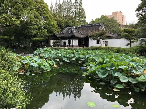 上个月去了上海青浦区高端洗浴,为人和善,服务态度好