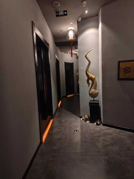 上个月去了上海杨浦区同城spa,环境很安静,特别的放松