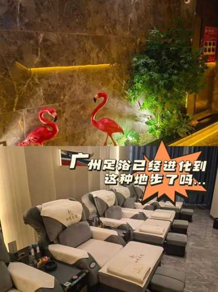 上个月去了广州高档足浴,按的很不错,下次还会来