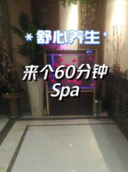 上个月去了上海杨浦区周边洗浴,技师服务很好,手法很好