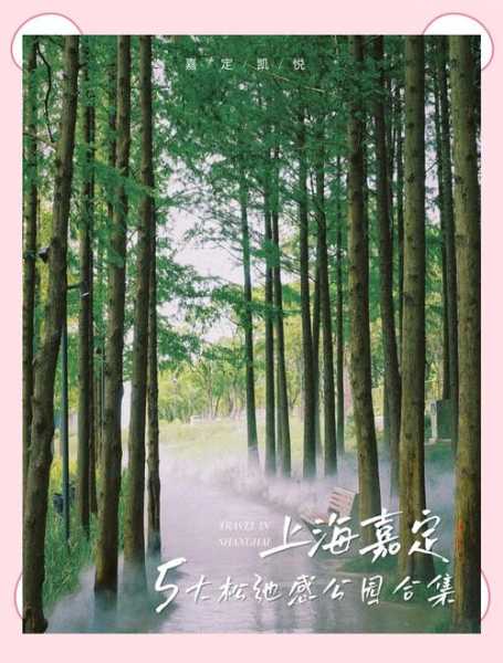 上个月去了上海杨浦区周边油压,环境很安静,特别的放松