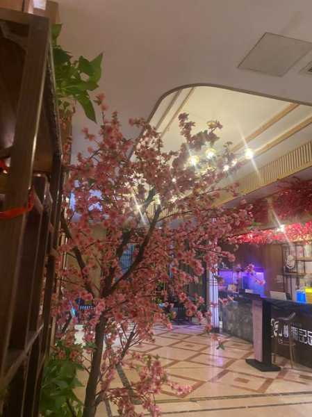 上个月去了上海浦东区同城足疗,按完很轻松很舒服,推荐推荐
