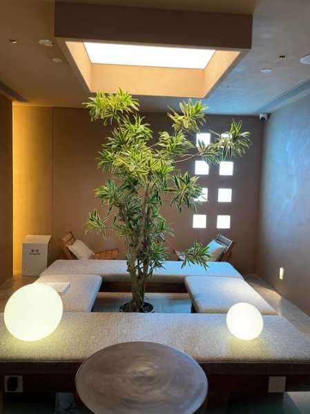 上个月去了广州高档spa,环境很安静,特别的放松