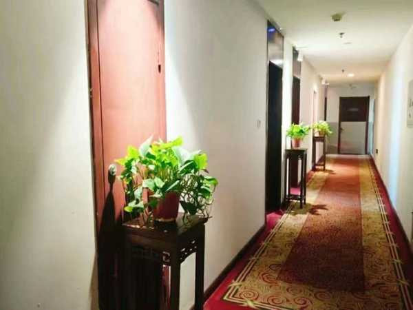 天津高档足道会所