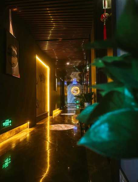 成都金牌spa会所门店