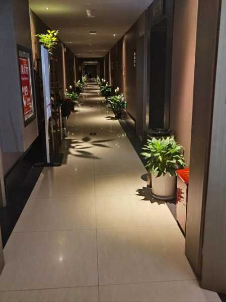 上海精致足道会所